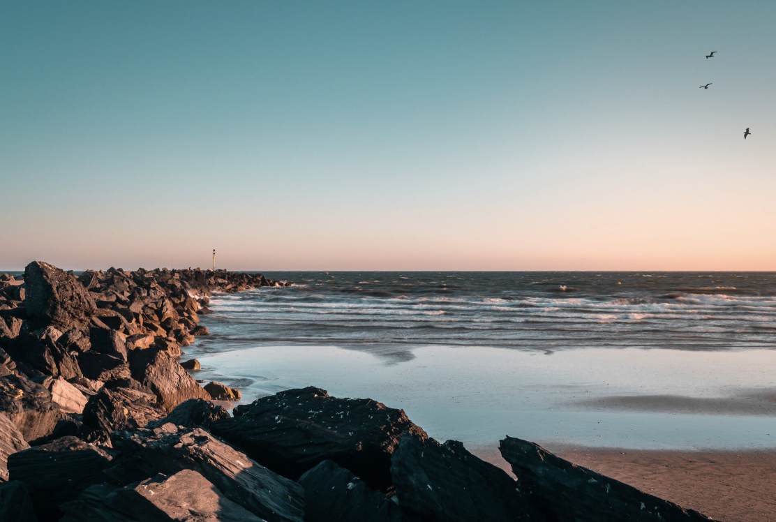 Día Marítimo Mundial: mares en riesgo y la urgencia de protegerlos